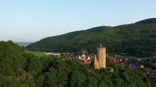 City Kaysersberg Middle Vineyards Foot Green Mountains Europe France Alsace — Stok Video