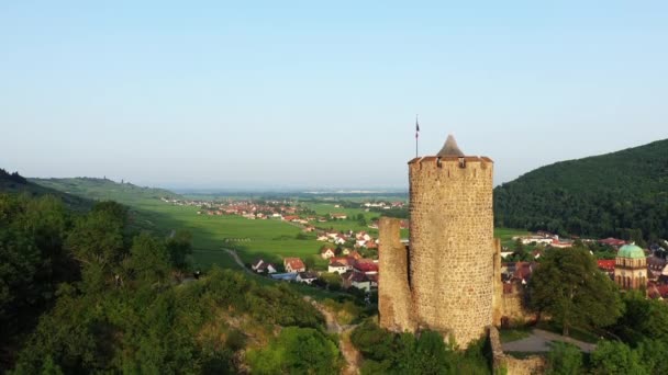 City Kaysersberg Middle Vineyards Foot Green Mountains Europe France Alsace — Video Stock