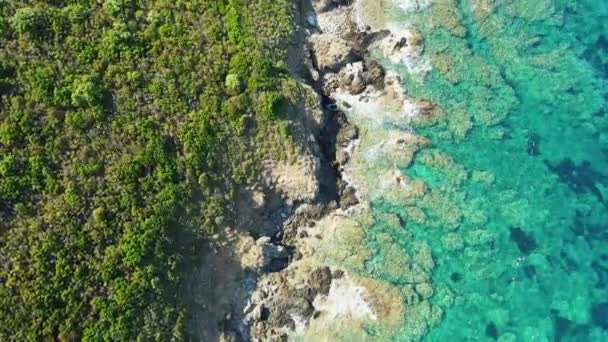 Costa Turquesa Campo Verde Europa Francia Córcega Hacia Calvi Junto — Vídeos de Stock