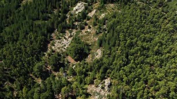 Загородная Местность Среди Гор Зеленых Лесов Европе Франции Корсике Сторону — стоковое видео