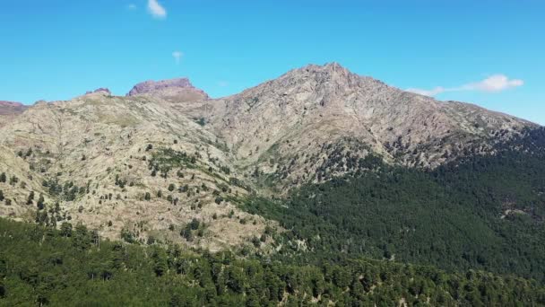 Dağlar Yeşil Ormanlar Arasındaki Çorak Kırsal Bölge Avrupa Fransa Korsika — Stok video