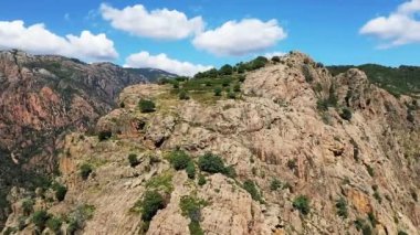 Kurak kırsalın ortasındaki Porto Vadisi 'nde, Avrupa, Fransa, Korsika' da, Akdeniz kıyısında, güneşli bir günde,.