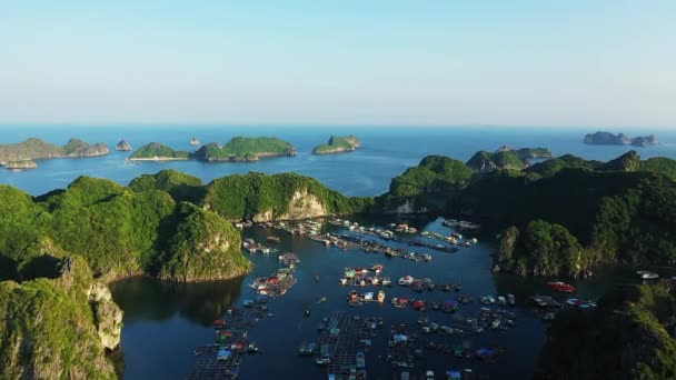 Los Pueblos Flotantes Medio Verdes Acantilados Kársticos Long Bay Asia — Vídeos de Stock