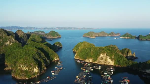 Πλωτά Χωριά Ανάμεσα Πράσινα Βράχια Karst Στο Long Bay Ασία — Αρχείο Βίντεο