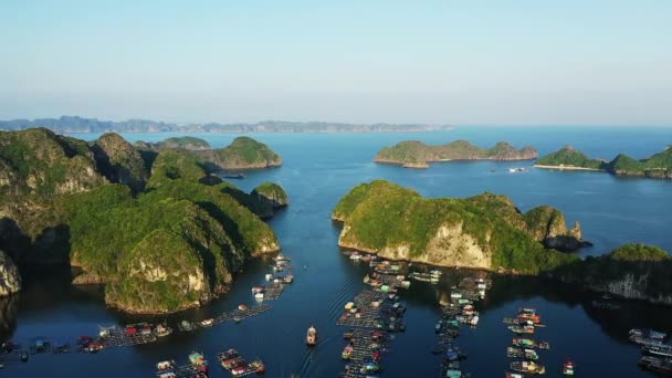 Los Pueblos Flotantes Medio Verdes Acantilados Kársticos Long Bay Asia — Vídeos de Stock