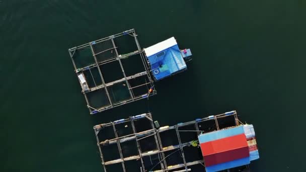 Los Pueblos Flotantes Medio Verdes Acantilados Kársticos Long Bay Asia — Vídeos de Stock