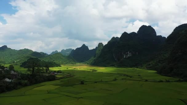 Зелені Рисові Поля Села Бак Сон Карстових Горах Азія Північний — стокове відео