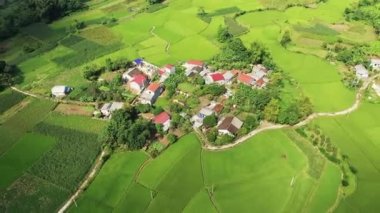 A traditional village in the middle of green rice fields , Asia, North Vietnam, Cao Bang, around Lang Son, in summer on a sunny day.