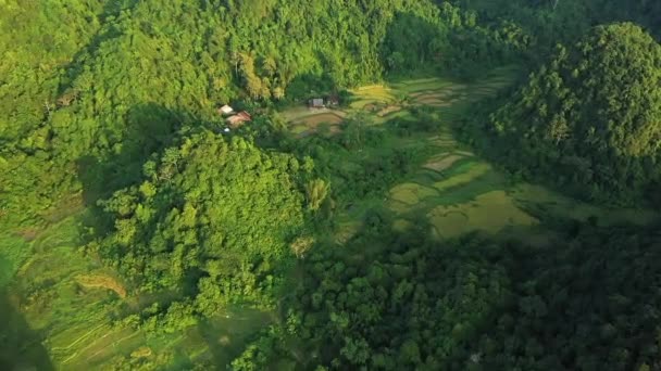 Los Campos Arroz Verde Las Montañas Kársticas Asia Norte Vietnam — Vídeos de Stock