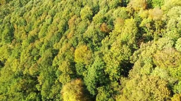 French Countryside Forests Autumn Europe France Normandy Fecamp Sunny Day — Stock video