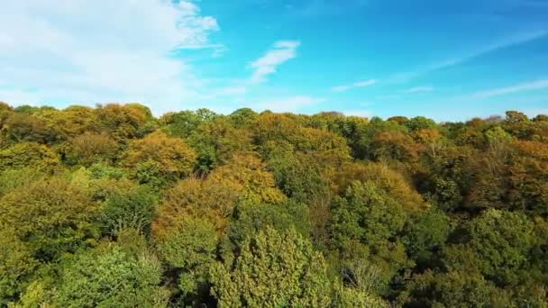 French Countryside Forests Autumn Europe France Normandy Fecamp Sunny Day — Stok video