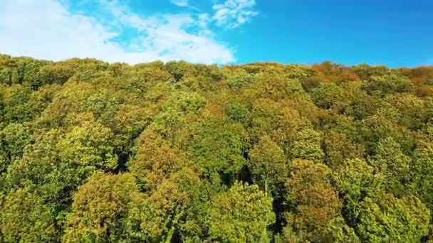 French Countryside Forests Autumn Europe France Normandy Fecamp Sunny Day — Stockvideo