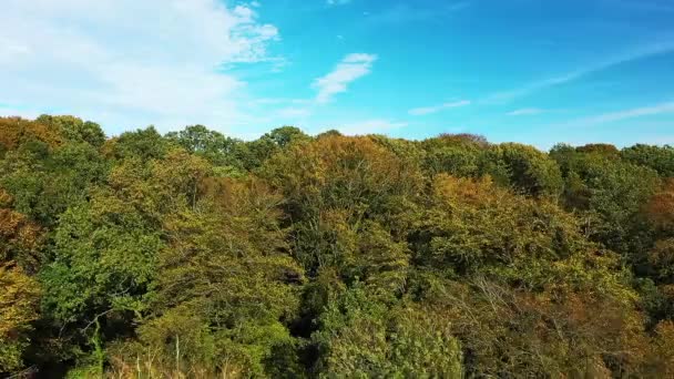 Sonbaharda Fransız Kırsal Ormanları Avrupa Fransa Normandiya Güneşli Bir Günde — Stok video