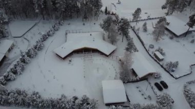 Güzel kış drone görüntüleri orman ve göl üzerinde