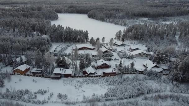 Beautiful nature in winter from drone — Vídeo de Stock