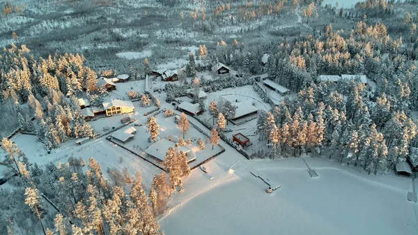 Bellissimi raggi di sole in inverno che toccano le cime degli alberi — Foto Stock