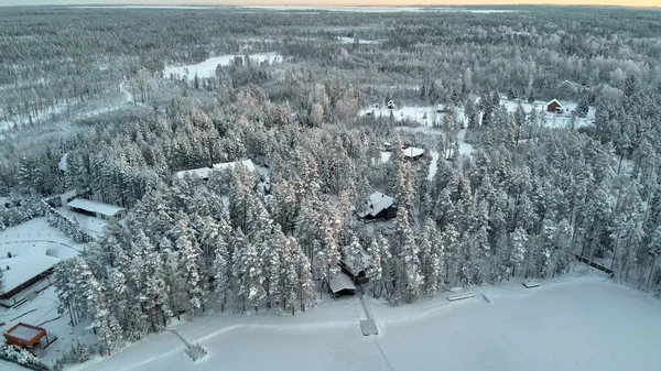 Hermosos pinos de invierno y lago congelado en Rusia —  Fotos de Stock