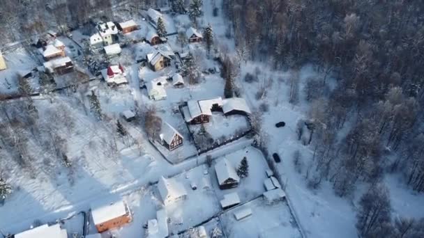Natáčení zimního lesa s quadcopterem — Stock video