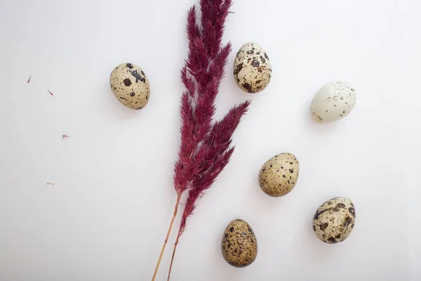 Beautiful Easter Eggs Decor — Stock Photo, Image
