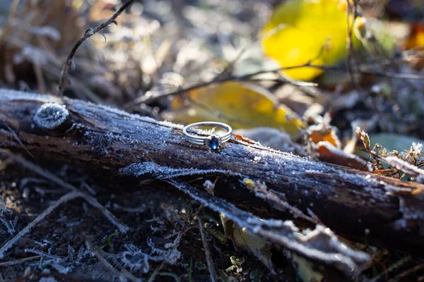 Sortija Boda Con Oro Blanco Sobre Madera Cubierta Escarcha —  Fotos de Stock