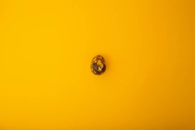 Sarı arka planda küçük bıldırcın yumurtaları var. Reklam için minimalizm.