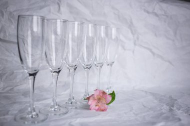 Beyaz arka planda ince camlı şarap kadehleri.