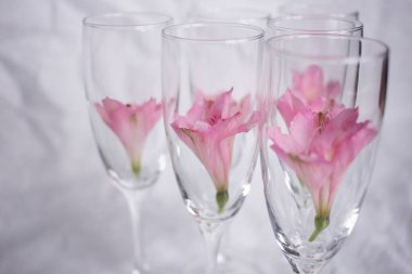 Cam bir kadehteki narin pembe çiçek beyaz bir arkaplanda süsleme olarak.