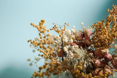 Dried flowers of yellow and pink color stand in a composition on a blue background
