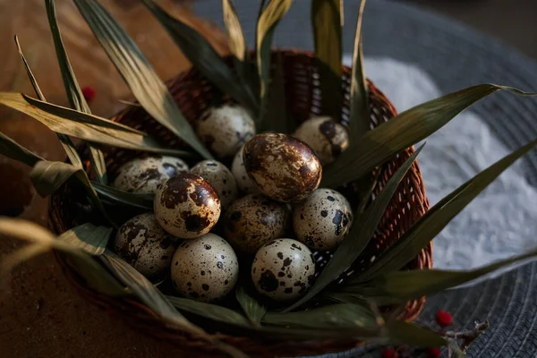 Beautiful Quail Eggs Lie Wicker Basket — Stock Photo, Image