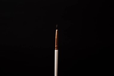 The brush for painting makeup lies on the background