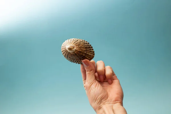 Girl Holding Seashell Her Hand — Stock Photo, Image