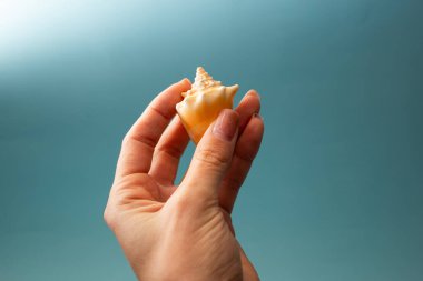 Elinde deniz kabuğu tutan bir kız