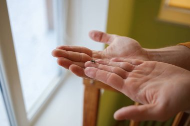 Adam pencerenin yanında bir sinek yakalıyor.