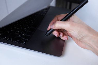 Dizüstü bilgisayarda yazan kadın, ofis çalışanı.