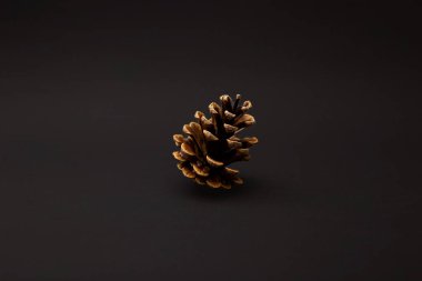 Ayrıntılı olarak siyah arkaplanda Noel ağacı konisi