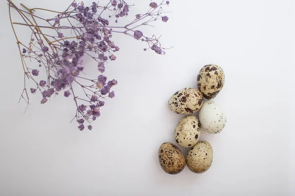 Красиві Великодні Яйця Декором — стокове фото