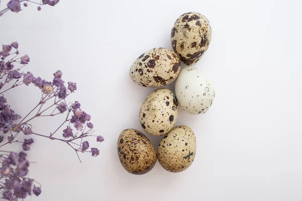 Красиві Великодні Яйця Декором — стокове фото