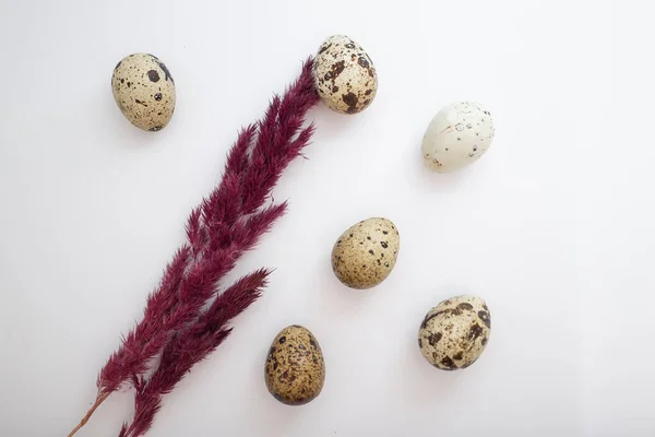 Beautiful Easter Eggs Decor — Stock Photo, Image