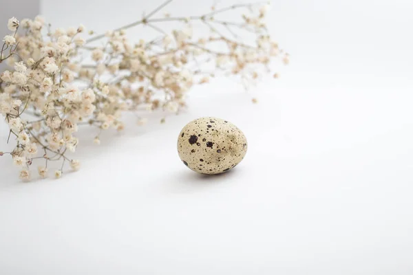 Beautiful Quail Eggs Decorated Flowers Glitter Sequins — Stock Photo, Image