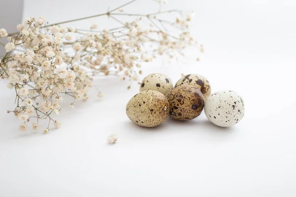 Beautiful Quail Eggs Decorated Flowers Glitter Sequins — Stock Photo, Image