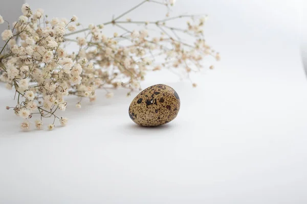 Beautiful Quail Eggs Decorated Flowers Glitter Sequins — Stock Photo, Image