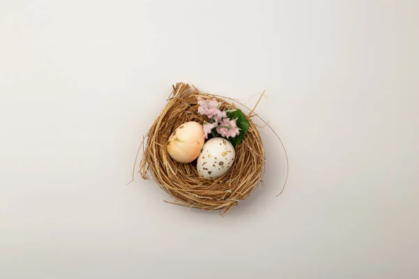 Easter Eggs Lying Nest — Stock Photo, Image