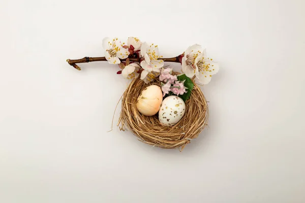 Easter Eggs Lying Nest — Stock Photo, Image