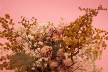 Dried flowers in yellow and pink stand in the composition on a pink background