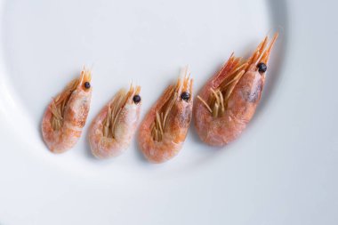 Tabakta duran sulu pembe karides