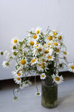 Vazoda bir buket beyaz papatya