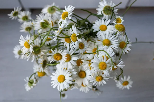 Bouquet of white daisies in a vase