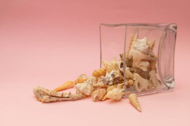 Cam vazodan bir sürü küçük kabuk döküldü.