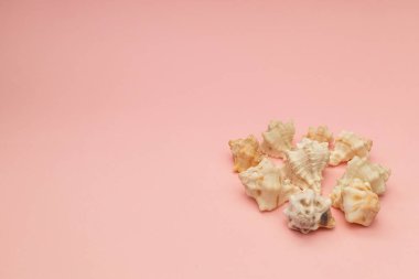 Yumuşak pembe arka planda kabuklar