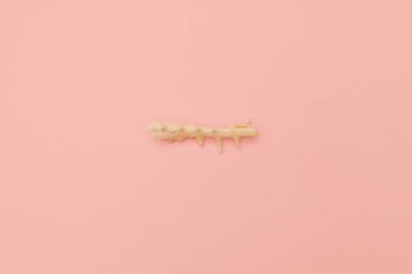 Yumuşak pembe arka planda kabuklar